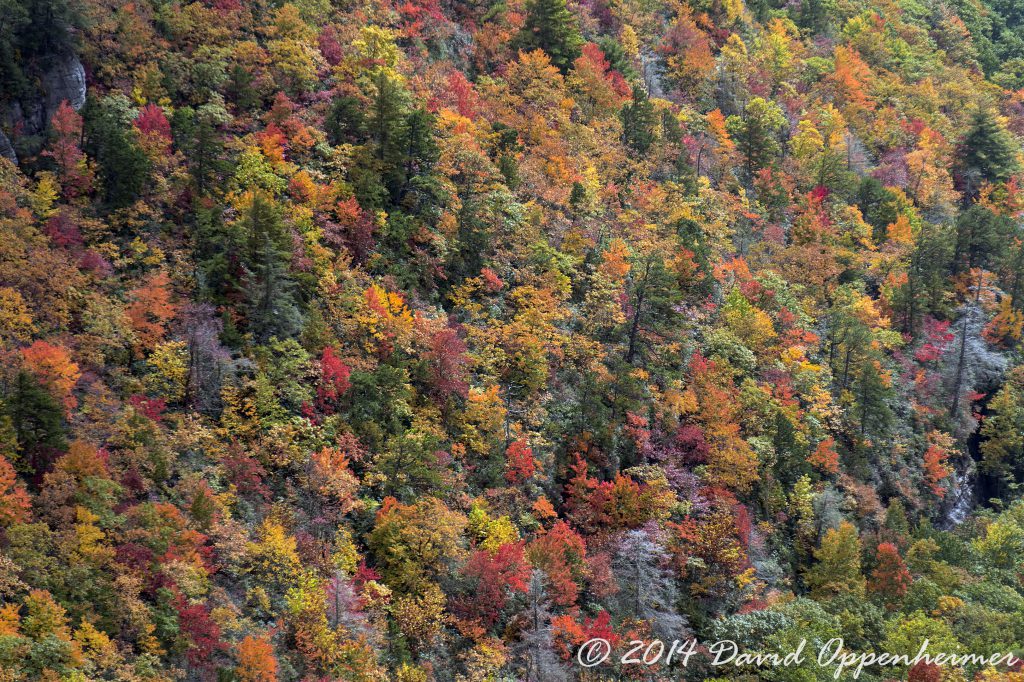Nantahala National Forest Fall Colors Aerial Photo