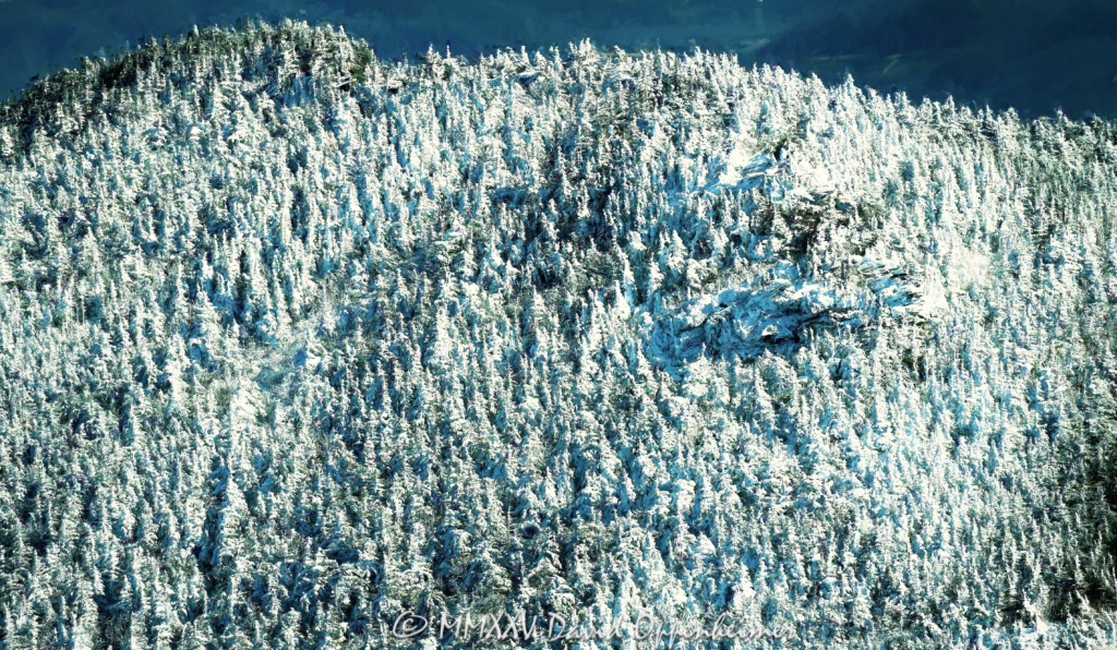 Grandfather Mountain State Park Snow Covered Evergreens aerial view