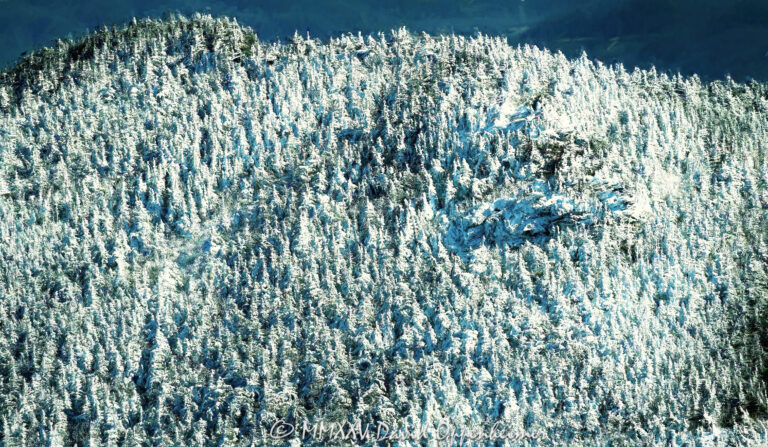 Grandfather Mountain State Park Snow Covered Evergreens aerial view