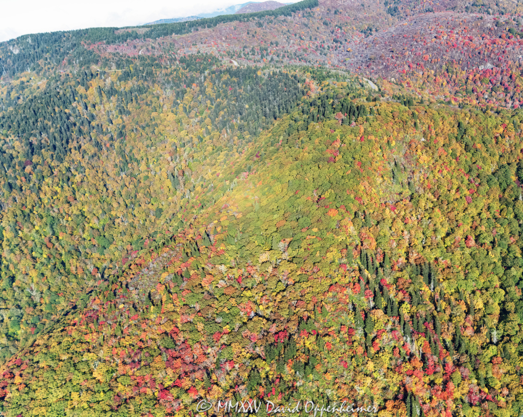 Blue Ridge Parkway Vibrant Fall Colors at Fork River Bald Aerial View