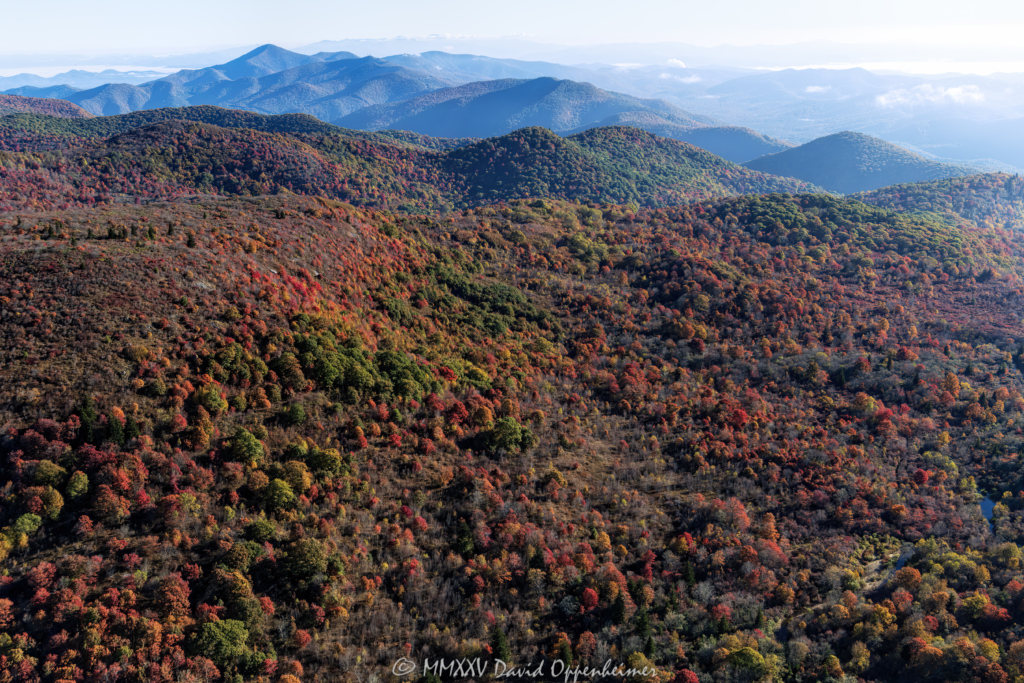 Blue Ridge Parkway Graveyards Fields with Peak Autumn Color Aerial View