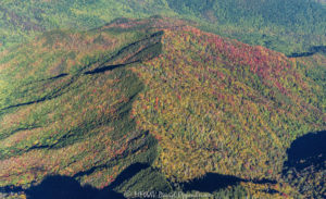Great Smoky Mountains National Park Porters Mountain TN autumn colors aerial view 7770 1