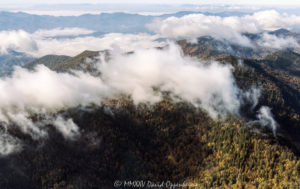 Great Smoky Mountains National Park aerial view 7939 1