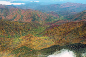 Great Smoky Mountains National Park autumn colors aerial view 7846 1