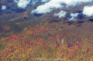 Great Smoky Mountains National Park autumn colors aerial view 7874 1