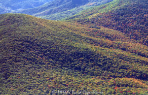 Great Smoky Mountains National Park autumn colors aerial view 7972 1