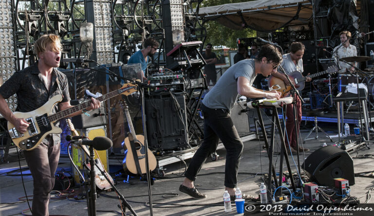 Grizzly Bear