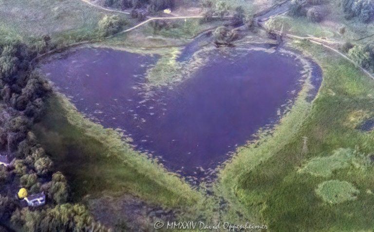 Heart-shaped lake aerial view - © 2024 David Oppenheimer - Performance Impressions aerial photography archives - https://performanceimpressions.com heart, heart-shaped, heart-shaped lake, lake, art, pond, love, nature, water, heart lake, aerial, aerial view, aerial photography, aerial photographer, David Oppenheimer, color, horizontal, United States, 1-13985601741,