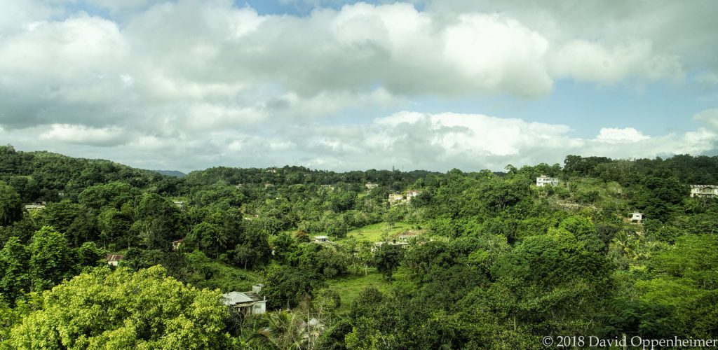 Countryside Outside of Brown's Town, Saint Ann, Jamaica