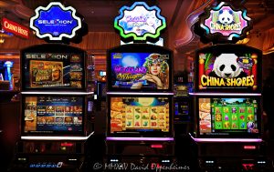 Dynasty Riches, Woodland Whisper, China Shores slot machines by Konami Gaming at Wynn Las Vegas Resort and Casino in Las Vegas, Nevada - © 2025 David Oppenheimer - Performance Impressions casino photography archives - https://performanceimpressions.com Dynasty Riches, Woodland Whisper, China Shores, Konami Gaming, Konami, slot machines, slots, Asian-themed, Wynn Casino, casino, gaming, play, betting, odds, win, gambling, wager, bet, luck, gamble, Kagemasa Kozuki, 3355 S Las Vegas Blvd, 89109, Wynn, Encore, Encore Las Vegas, Encore Resort, Encore Casino, Encore Vegas, Encore at Wynn, Wynn Las Vegas, Wynn Vegas, Wynn Resort, Wynn Resorts, 3131 Las Vegas Blvd S, 89109, hotel, resort, WYNN, WYNN stock, five star, five-star, luxury, Las Vegas, Vegas, Las Vegas Strip, casino floor, entertainment, luxury gaming, Nevada casino, vacation, escape, dream, art, casino art, Nevada, Nevada photography, colorful, Japan, Japanese, SYNKROS, United States, horizontal, color, 1-14993092111