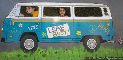 LEAF Festival LEAF Festival