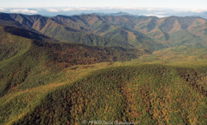 Lickstone Ridge Great Balsam Mountains autumn colors aerial view 7974 1