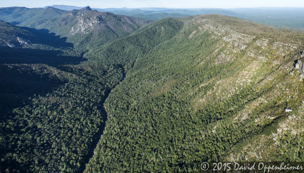Linville Gorge Wilderness