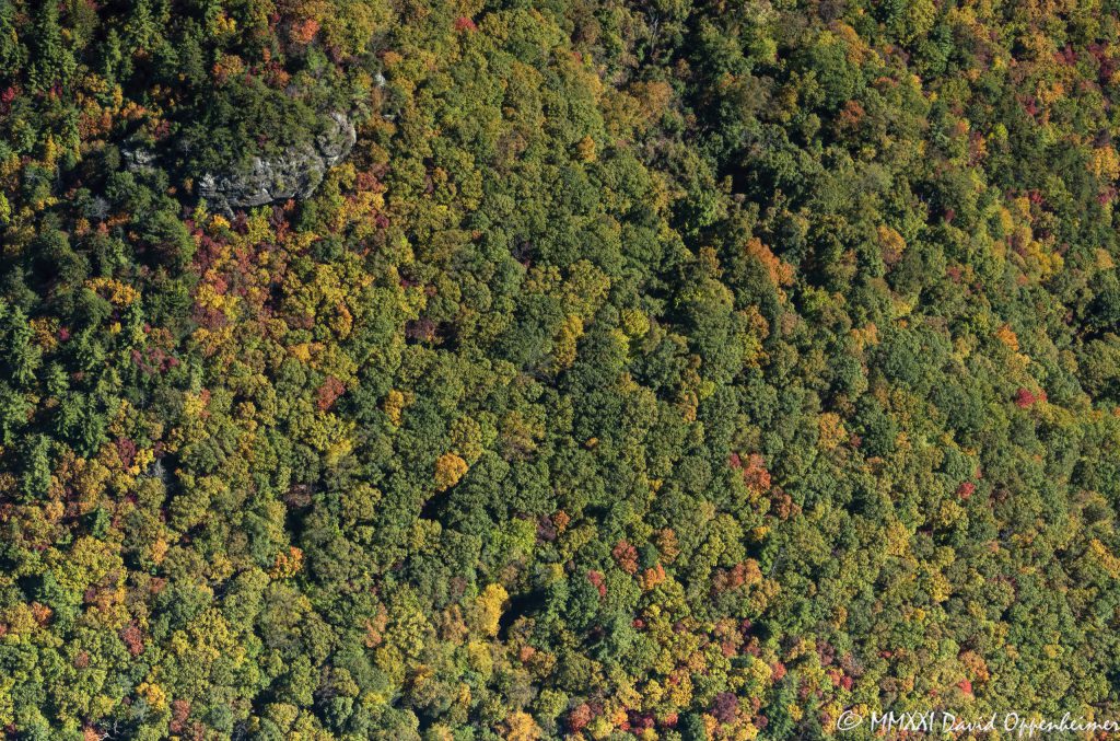 Linville Gorge Wilderness Vertical Aerial View of Autumn Colors