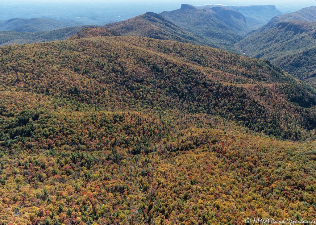 Linville Gorge Wilderness and Brushy Ridge with Peak Autumn Colors Aerial View