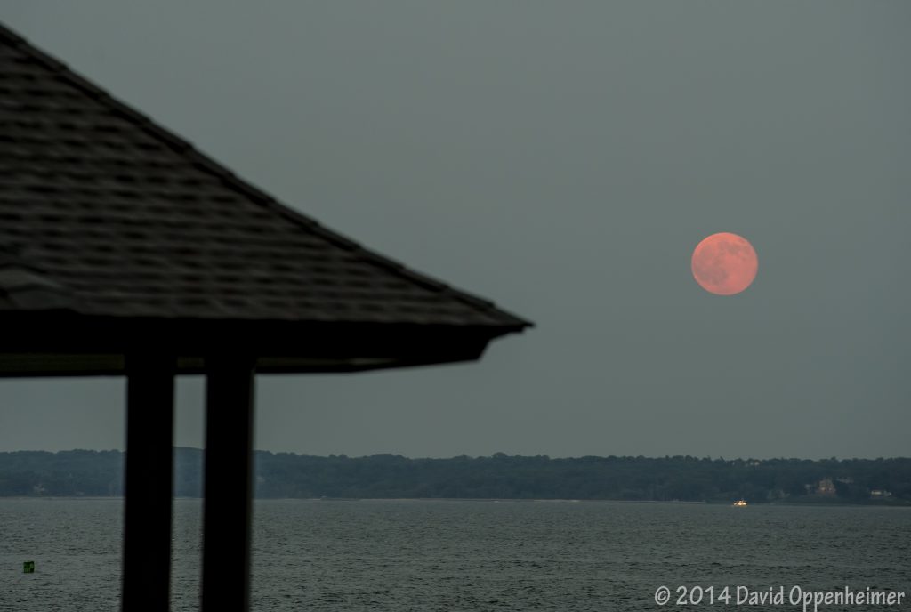 Manor Park in Larchmont - Westchester County New York