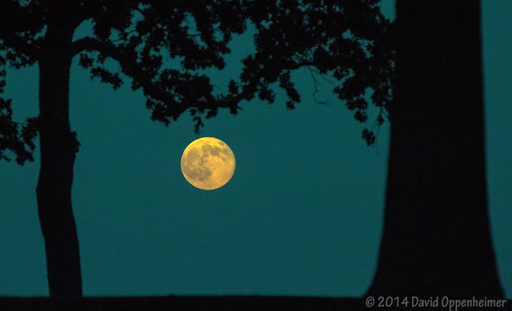 Manor Park in Larchmont - Westchester County New York