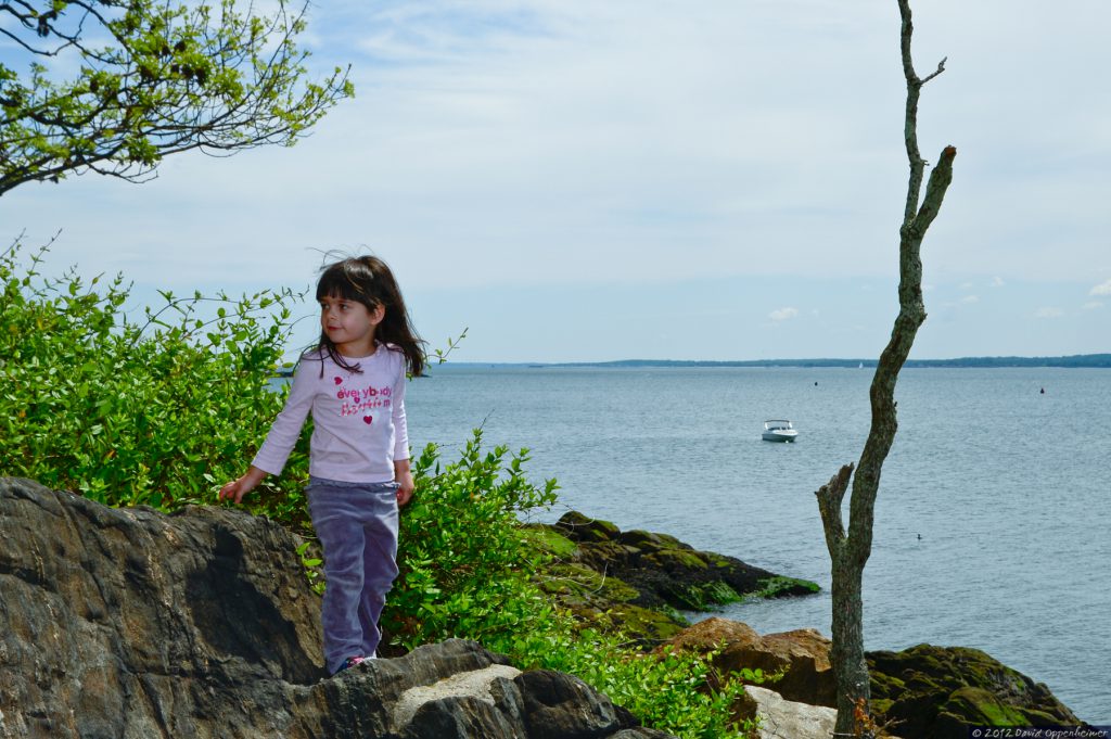 Manor Park in Larchmont – Westchester County New York