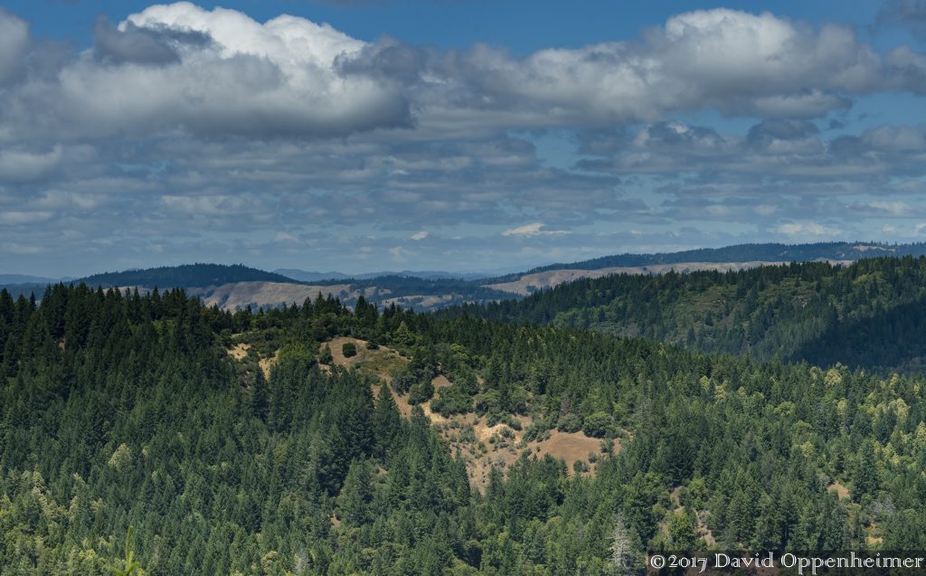 Mendocino County Real Estate