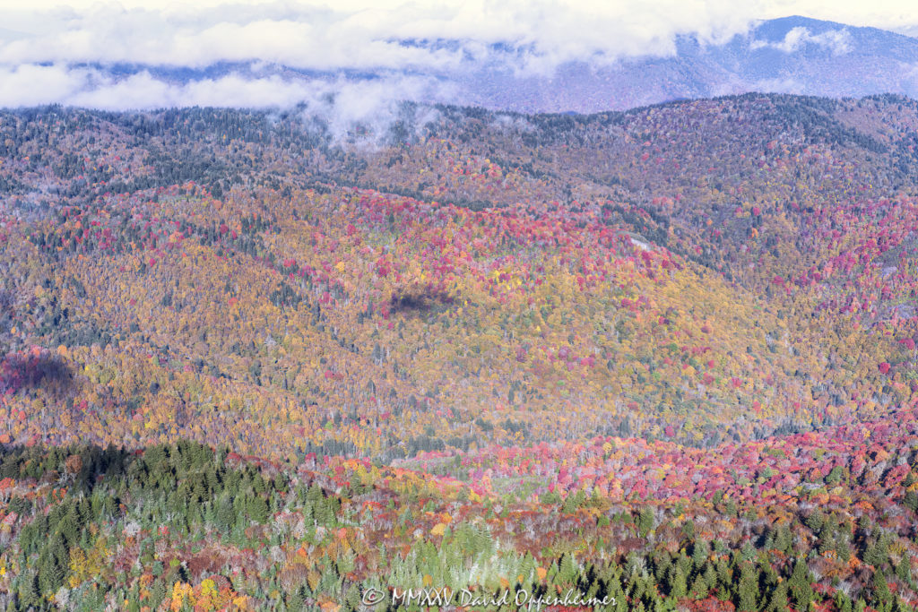 Middle Prong Wilderness and Shining Rock Wilderness Section of Pisgah National Forest Aerial View