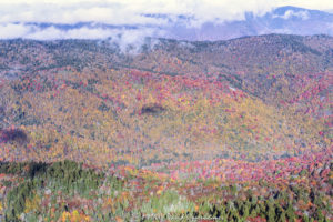 Middle Prong Wilderness Shining Rock Wilderness WNC aerial view 7278 1