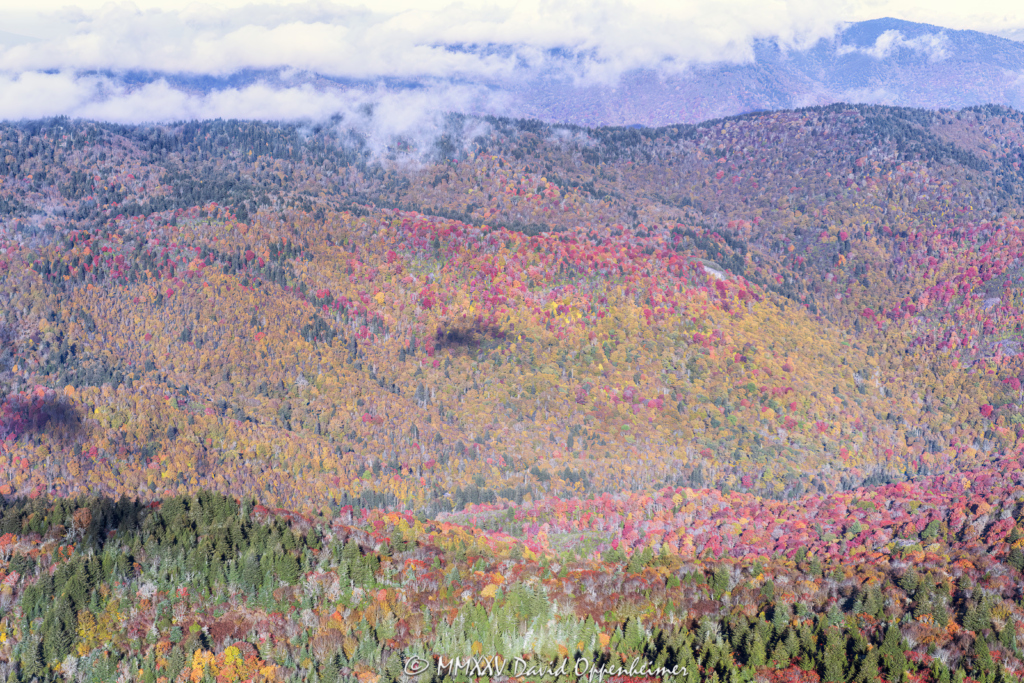 Middle Prong Wilderness and Shining Rock Wilderness Section of Pisgah National Forest Aerial View