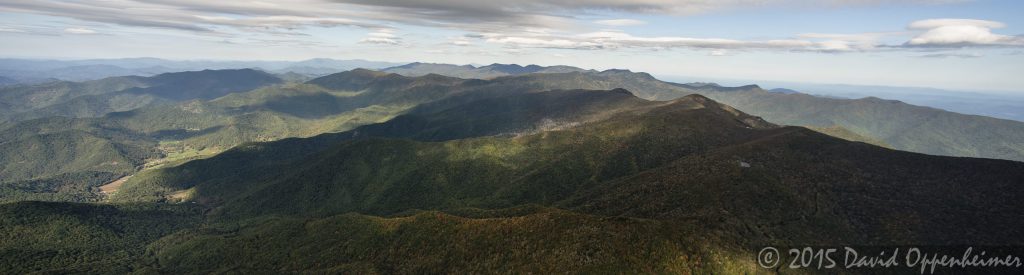 Mount Mitchell State Park