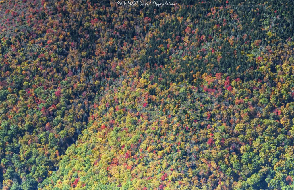 Mount Mitchell State Park Aerial View with Peak Autumn Colors