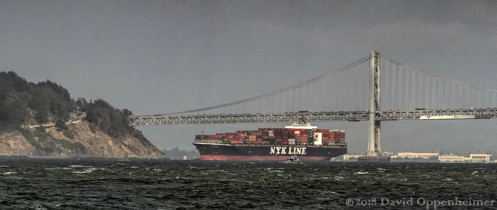 NYK_Line_Container_Ship_9974