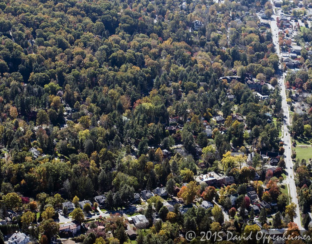 North Asheville Real Estate