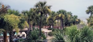 Omni Hilton Head Oceanfront Resort at 23 Ocean Lane on Hilton Head Island, South Carolina - © 2024 David Oppenheimer - Performance Impressions photography archives - https://performanceimpressions.com Omni Hilton Head Oceanfront Resort, Omni, Omni Hilton Head, Omni Hotels, Omni Hotels, Omni Hotels & Resorts, TRT Holdings, Palmetto Dunes Oceanfront Resort Community, 23 Ocean Ln, resort, hotel, oceanfront resort, pool, pools, spa, boutique, golf, golf courses, beach, beachfront, oceanfront, beach access, Bass Head, Bass Head beach, dunes, vacation, Hilton Head, Hilton Head Island, Town of Hilton Head, South Carolina, Lowcountry, Hilton head island real estate, Hilton Head real estate, real estate, palm trees, tropical, vacation, building, architecture, 29928, David Oppenheimer, David Gordon Oppenheimer, United States, color, horizontal, 1-13726821381,