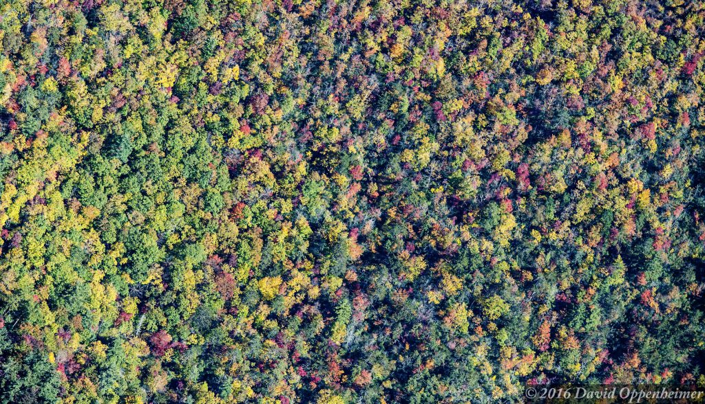 Panthertown Valley in Transylvania County