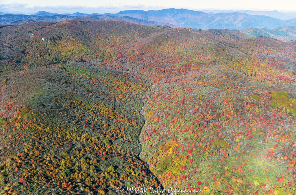 Blue Ridge Parkway Graveyards Fields and Dark Prong Aerial View