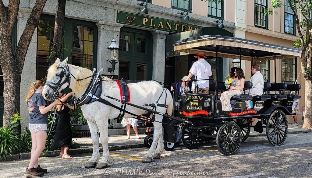 Horse-drawn Carriage for a Wedding at the Planters Inn in Charleston