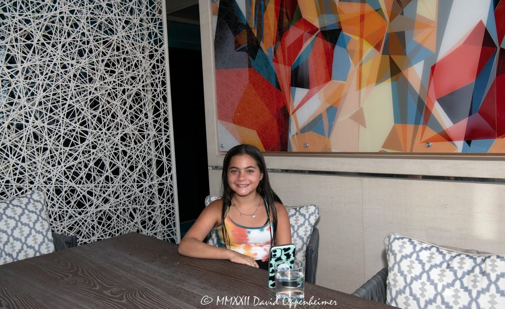 Skyline Terrace Suite at the MGM Grand Las Vegas in Las Vegas, Nevada