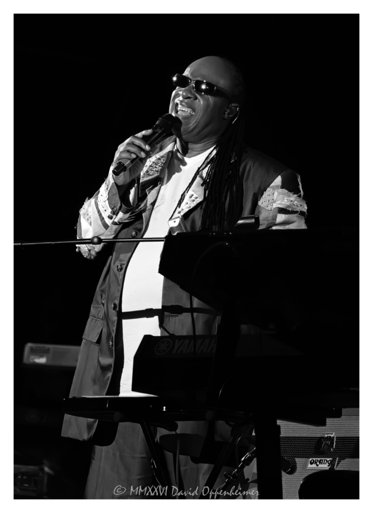 Stevie Wonder Hangout Festival