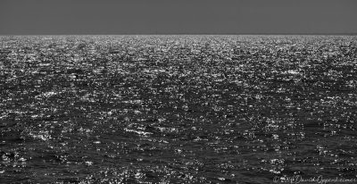 Sunlight Reflecting off of the Atlantic Ocean by Martha's Vineyard