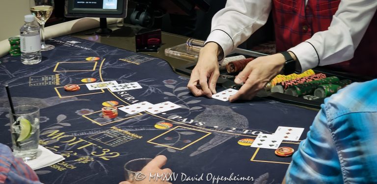 Blackjack table gambling at The Venetian casino in Las Vegas, Nevada - © 2025 David Oppenheimer - Performance Impressions casino photography archives - https://performanceimpressions.com Blackjack, Blackjack table, Buster Blackjack, The Venetian, casino, Las Vegas, blackjack gambling, cards, card game, chips, Venetian casino, casino chips, money, draw, draw of the cards, table, gaming, play, Nevada, odds, win, gambling, dealer, Blackjack dealer, hand, blackjack hand, twenty-one, jack, shuffle, shoe, casino floor, table game, nightlife, entertainment, casino resort, wager, bet, luck, gamble, resort, 3355 S Las Vegas Blvd, 89109, United States, horizontal, color, 1-14977862771
