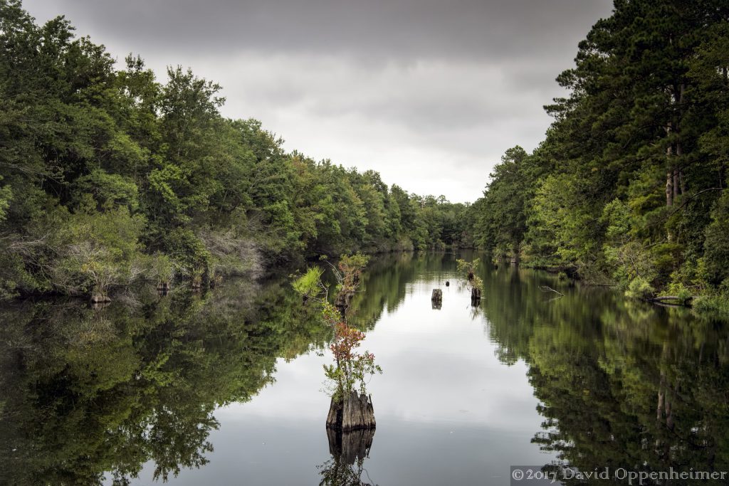 Tom Yawkey Wildlife Center