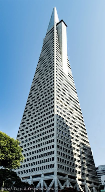 Transamerica_Pyramid_San_Francisco_697