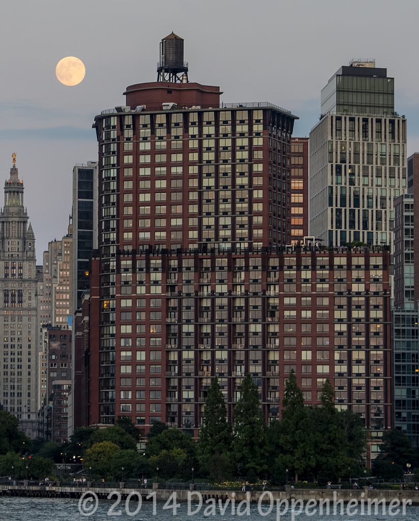 Tribeca Park Luxury Apartments Building
