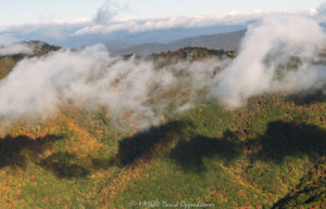 Yellow Face Mountain Browning Knob Overlook Blue Ridge Parkway autumn colors aerial face 7545 1