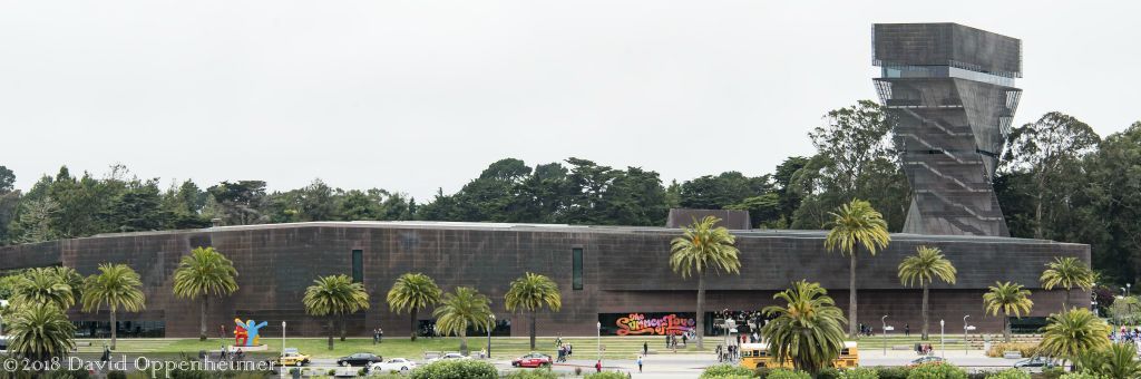 de_Young_Museum_San_Francisco_dsc_9525