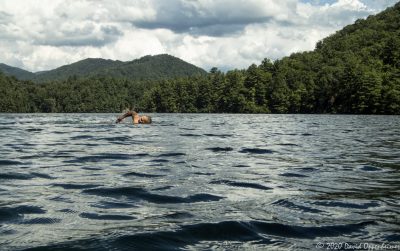 Lake Santeetlah Swimming Lake Santeetlah Swimming